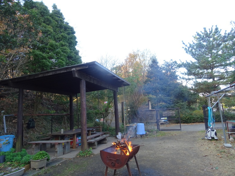 c0108460_20470550.jpg