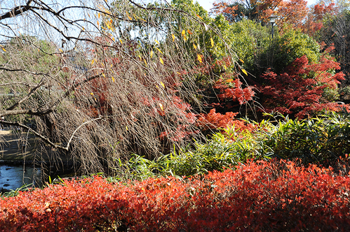 a0208066_81787.jpg