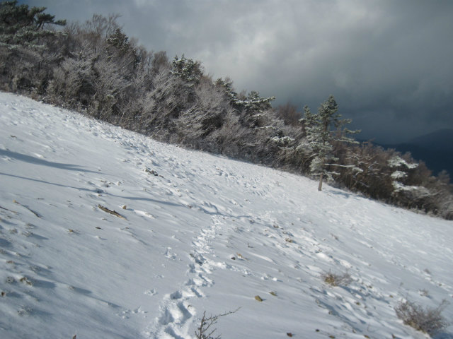 c0219866_1429042.jpg