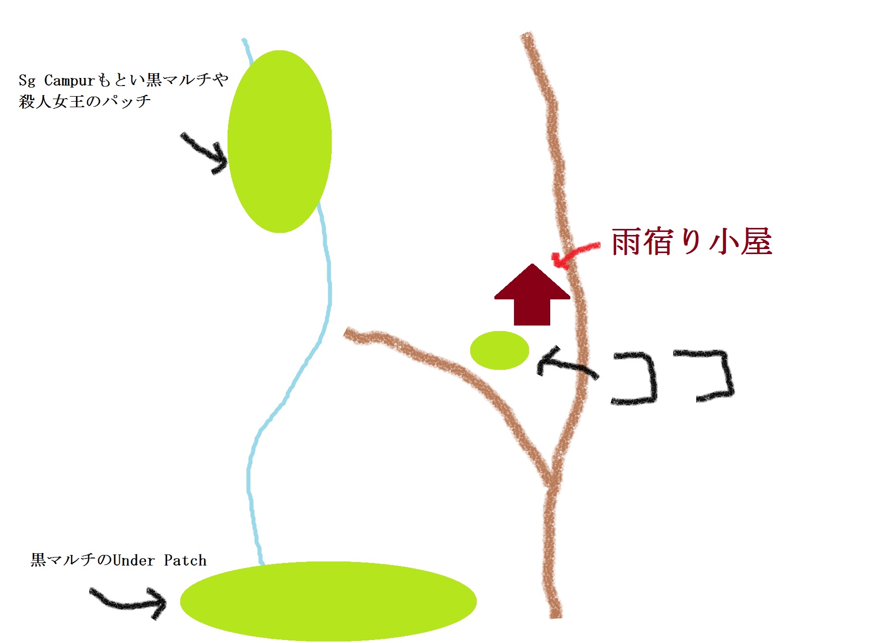 a0067578_12164337.jpg
