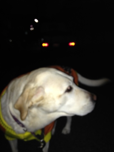 f0315081_19443223.jpeg