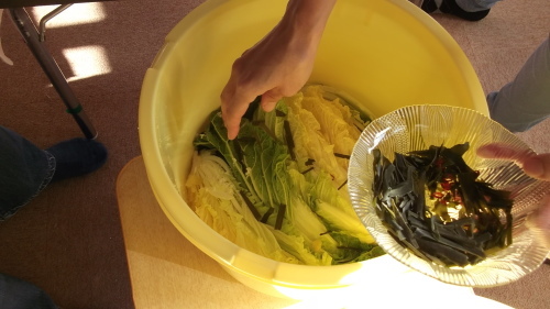 畑の白菜を漬物に⭐︎漬け込み編_f0334882_11173670.jpg