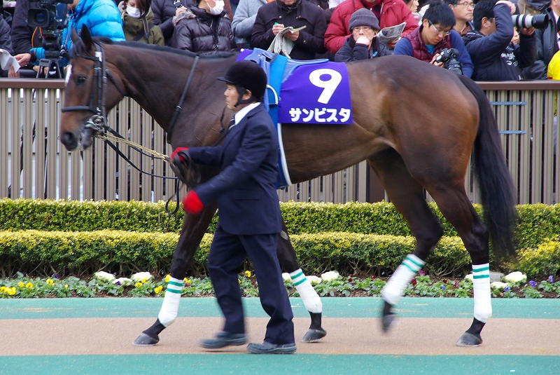 史上初のＪＲＡダートＧＩ牝馬・サンビスタが引退、繁殖入り : 愛しの