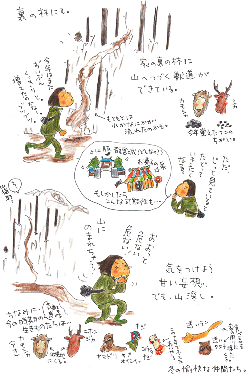 f0236291_6401451.gif