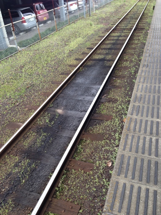 ひたちなか海浜鉄道 湊線 旅の途中気動車を求めて。_a0334793_13281965.jpg