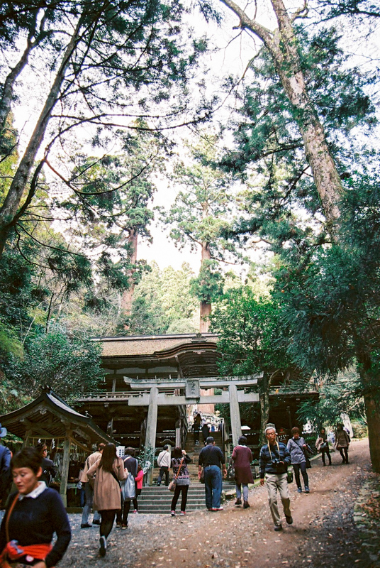 そうだ紅葉狩りに京都に行こう！（2015/11/21〜23）　*06　鞍馬寺〜貴船神社_d0147393_22551612.jpg