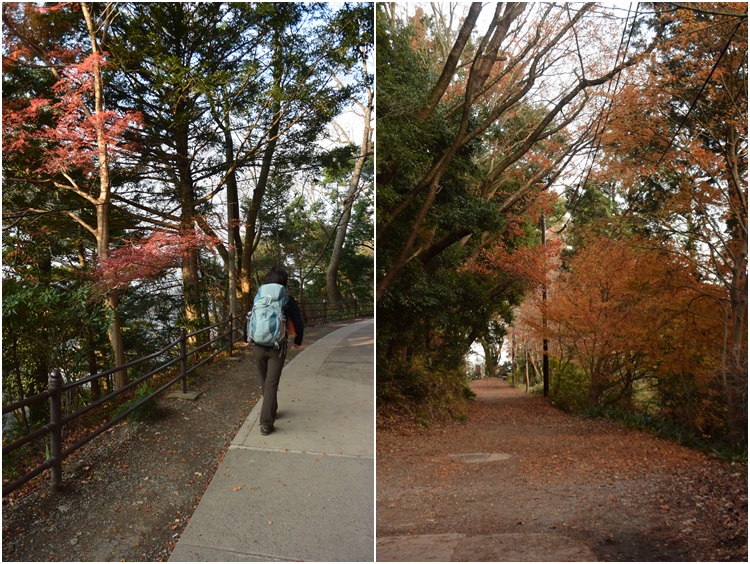 高尾山で鍋 2015_c0124100_053885.jpg