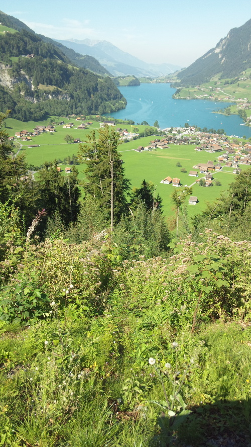 f0076001_2323323.jpg