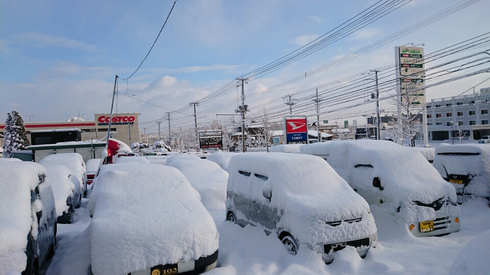 b0127002_153328.jpg