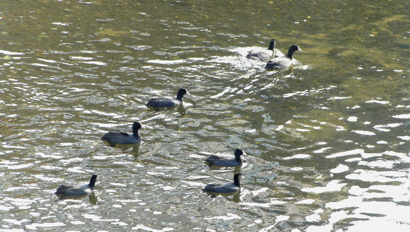 c0059002_2213773.jpg
