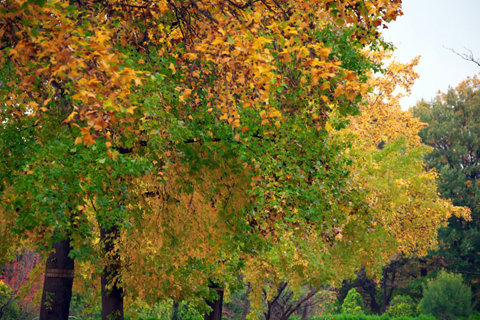 a0263109_2032990.jpg
