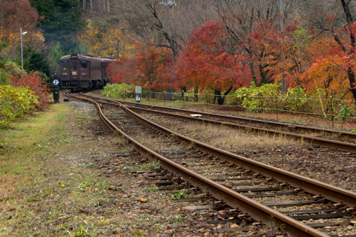 2015/11/17 沢入駅の紅葉_a0340812_8452331.jpg