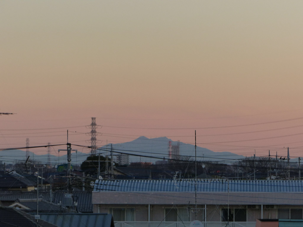 朝日を浴びて…_f0296312_07445429.jpg