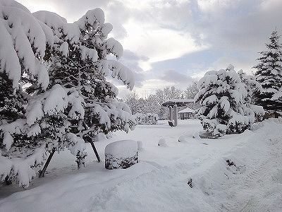 f0328313_11480445.jpg