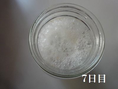 f0328313_11504044.jpg
