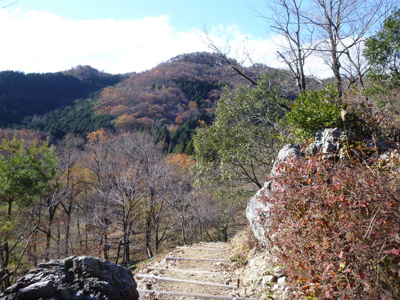 今日のお気に入り写真　祐向山 (374.3M)_d0170615_1723065.jpg