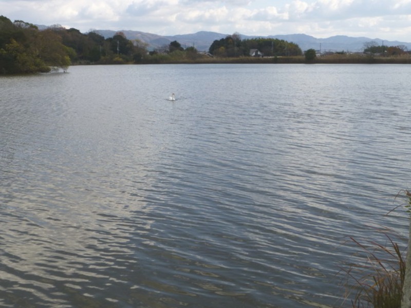 b0174217_15212323.jpg