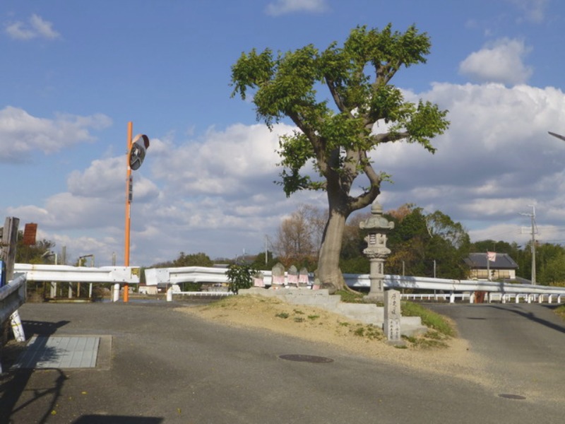 b0174217_1591650.jpg