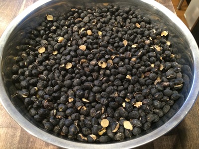 =黒豆の味噌作り=_a0159124_1554070.jpg