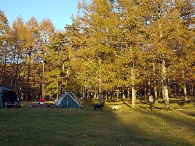 f0289824_1802263.jpg