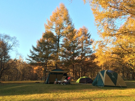 f0289824_23201060.jpg