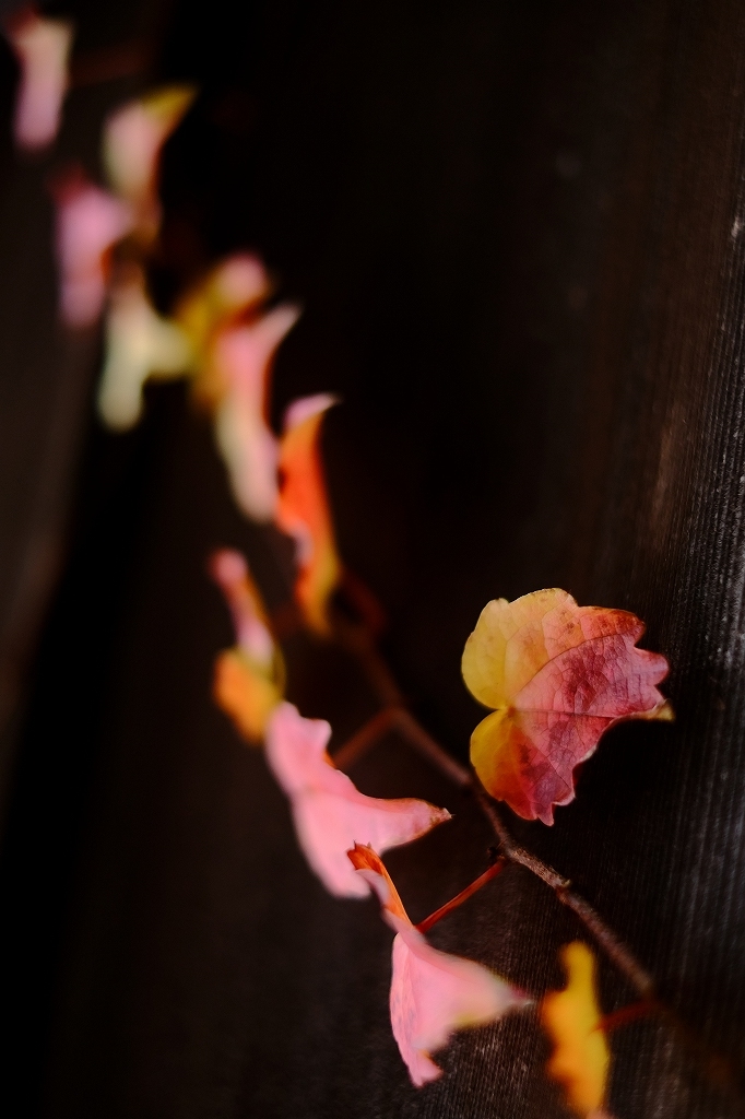 高岡　時の流れ　by FUJIFILM Xシリーズ_f0050534_23004071.jpg