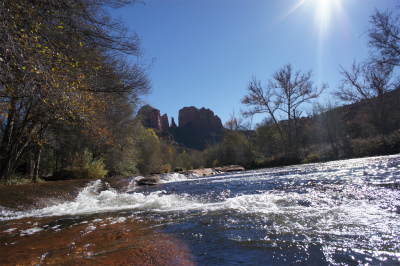 a0290938_217787.jpg