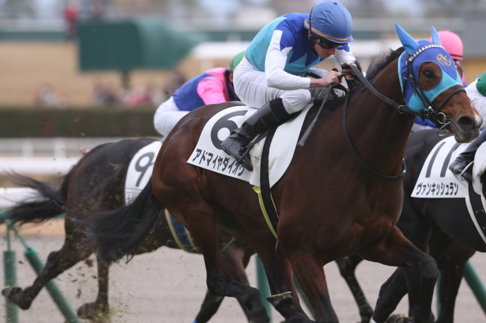 15 チャンピオンズカップ みっちぃの競馬写真ブログ 15 チャンピオンズカップ みっちぃの競馬写真ブログ