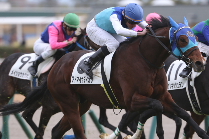 15 チャンピオンズカップ みっちぃの競馬写真ブログ 15 チャンピオンズカップ みっちぃの競馬写真ブログ