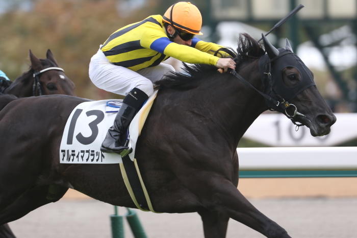 15 チャンピオンズカップ みっちぃの競馬写真ブログ 15 チャンピオンズカップ みっちぃの競馬写真ブログ