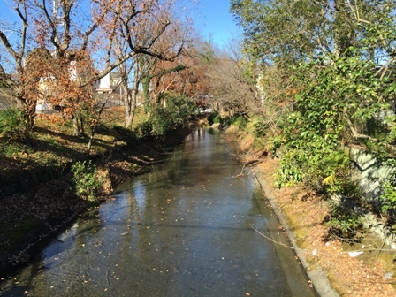 b0330040_21515812.jpg
