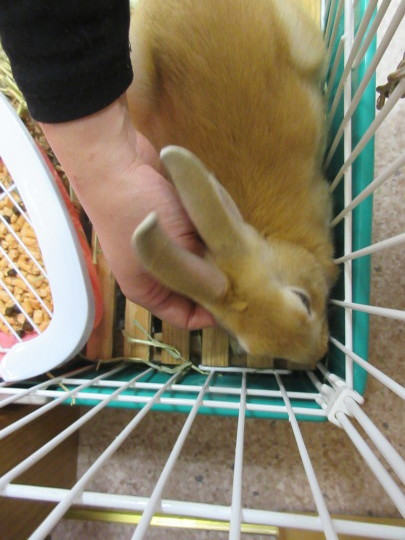 来年度のカレンダー完成♡_e0339146_17272537.jpg