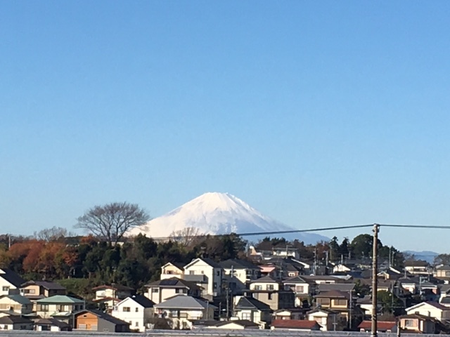 今朝は例年の気温に・・・カーヴォロネーロが元気に・・・・・_c0222448_12102355.jpg