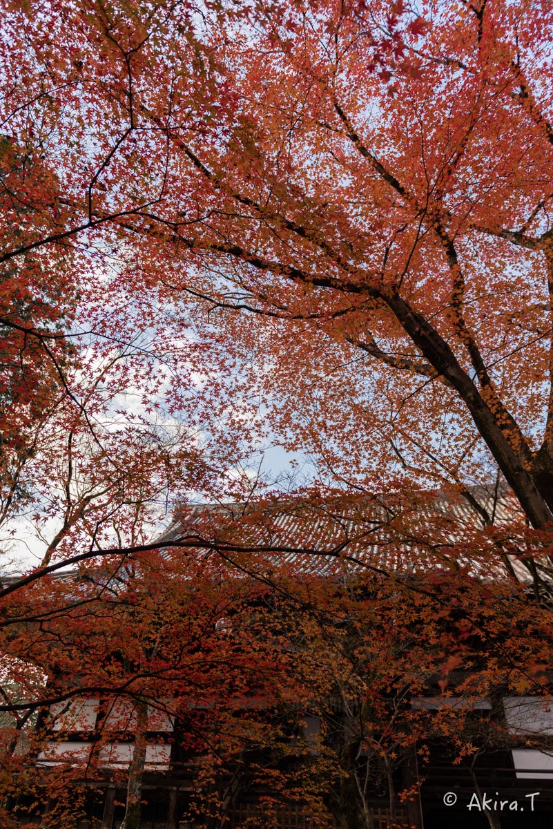 f0152550_23363830.jpg