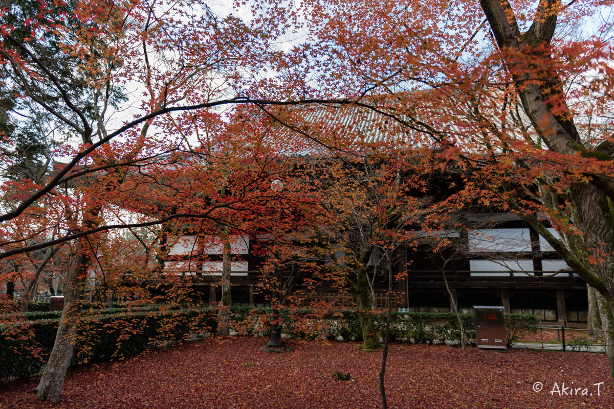 f0152550_23365624.jpg