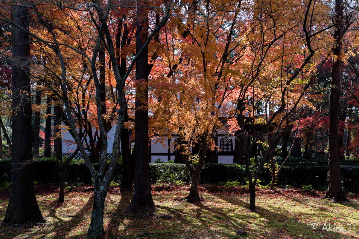 f0152550_2338303.jpg