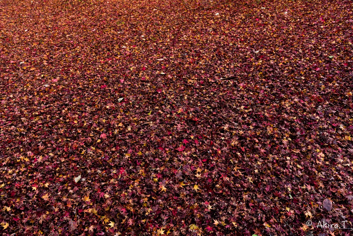 f0152550_23392016.jpg