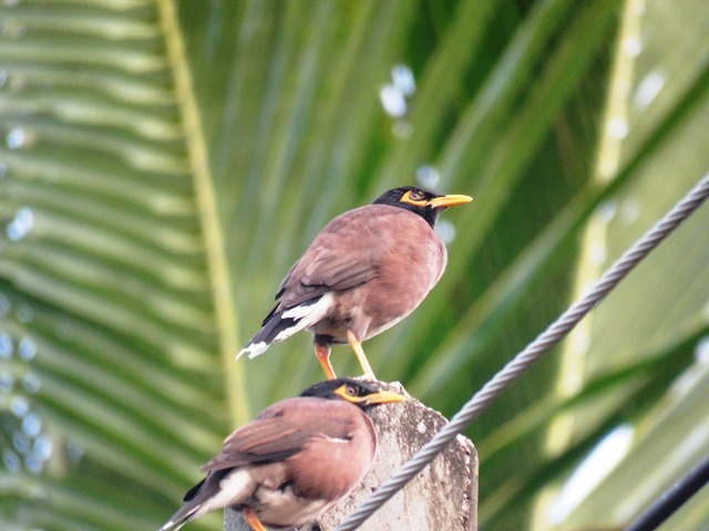 b0227552_15562856.jpg