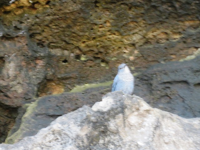b0227552_15563650.jpg