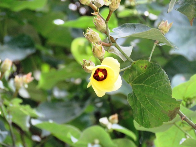 b0227552_15565008.jpg