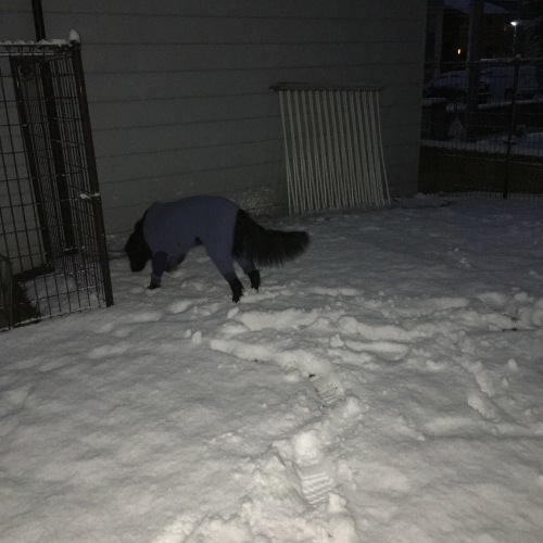 f0095152_06423826.jpeg
