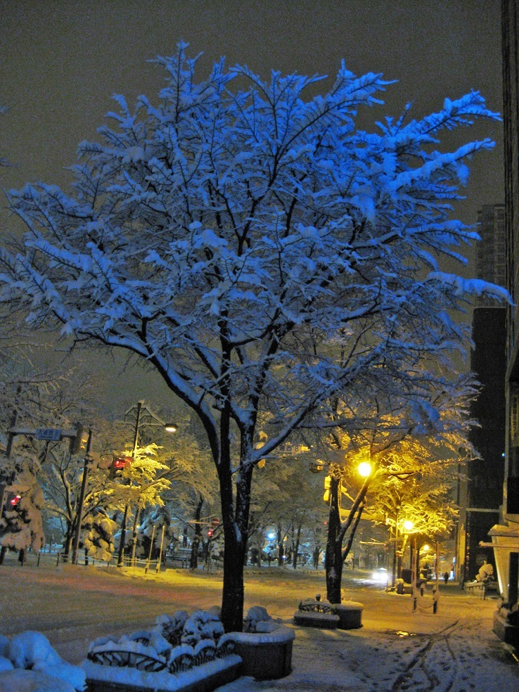 d0333958_12131975.jpg