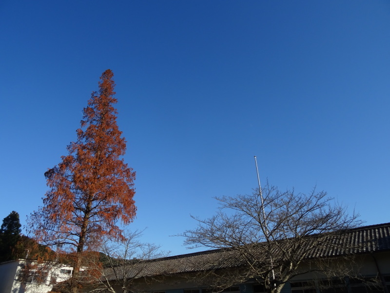 c0108460_19572939.jpg