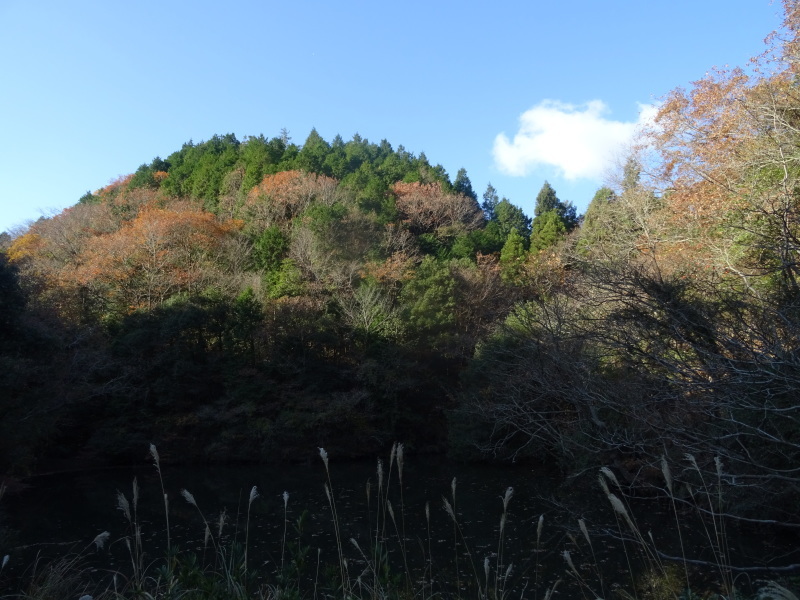 c0108460_19573451.jpg