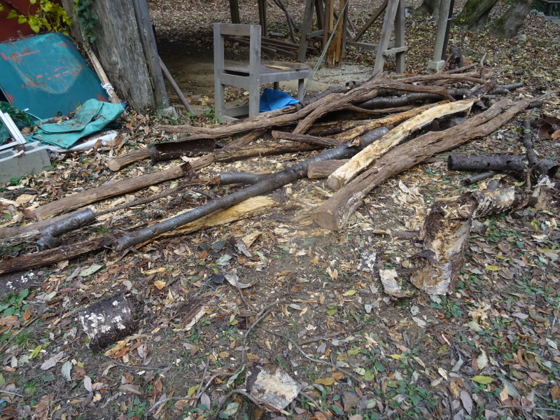 c0108460_20102833.jpg