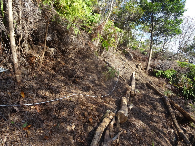 c0108460_20330754.jpg