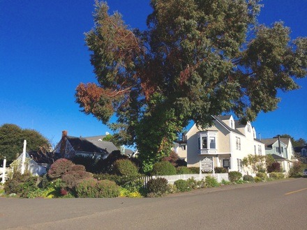 32.花と緑と空と海、そして可愛らしいINN。Mendocino_a0199262_171013.jpg