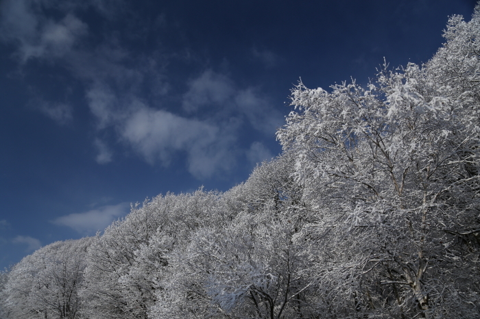 積雪０からの朝（2015.12.18）_a0181066_13584143.jpg