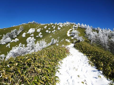 大川入山　　ぎりぎり合格？_f0302771_21255238.jpg