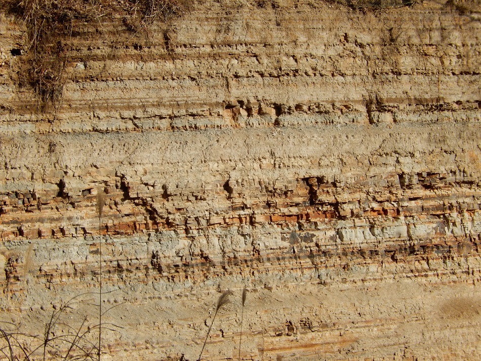 塩原温泉・木の葉化石園（2015.12.16・17）_e0320083_22172722.jpg